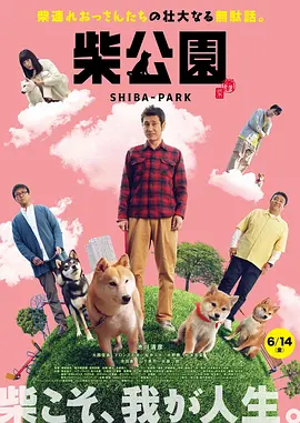 桃花岛在线观看