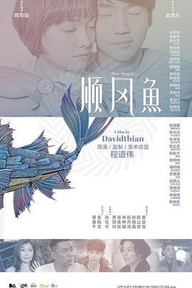 91精品视频网站
