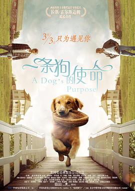 姐妹们的叛乱2020