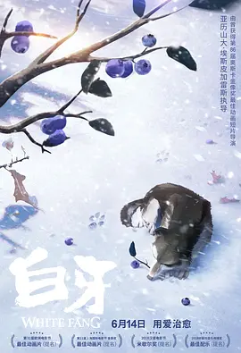 欧美日韩一区二区三区视频播