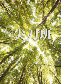 日韩一级欧美一级