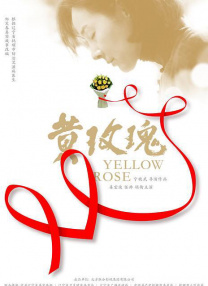 丰满少妇被猛烈进入高清播放,