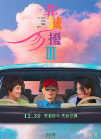 精品视频入口