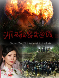 一区二区精品在线观看